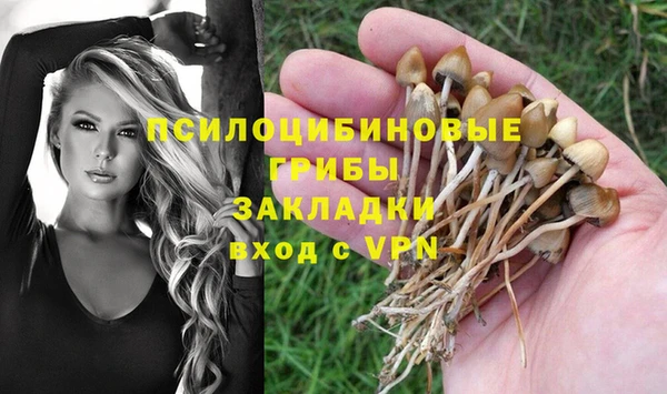 стафф Алексеевка