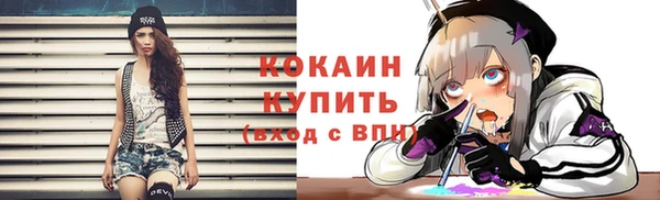 твердый Алексин